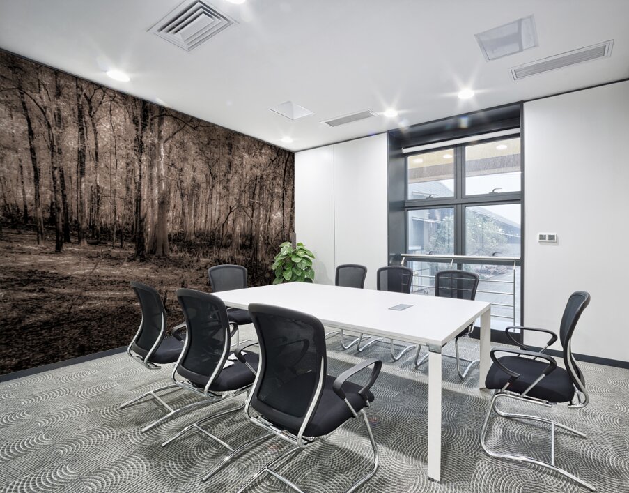 Cypress Shadows at Dawn Wall Printing