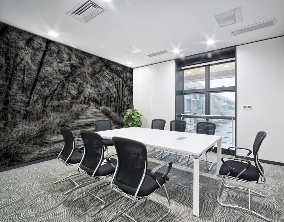 Florida Dirt Road Wall Printing