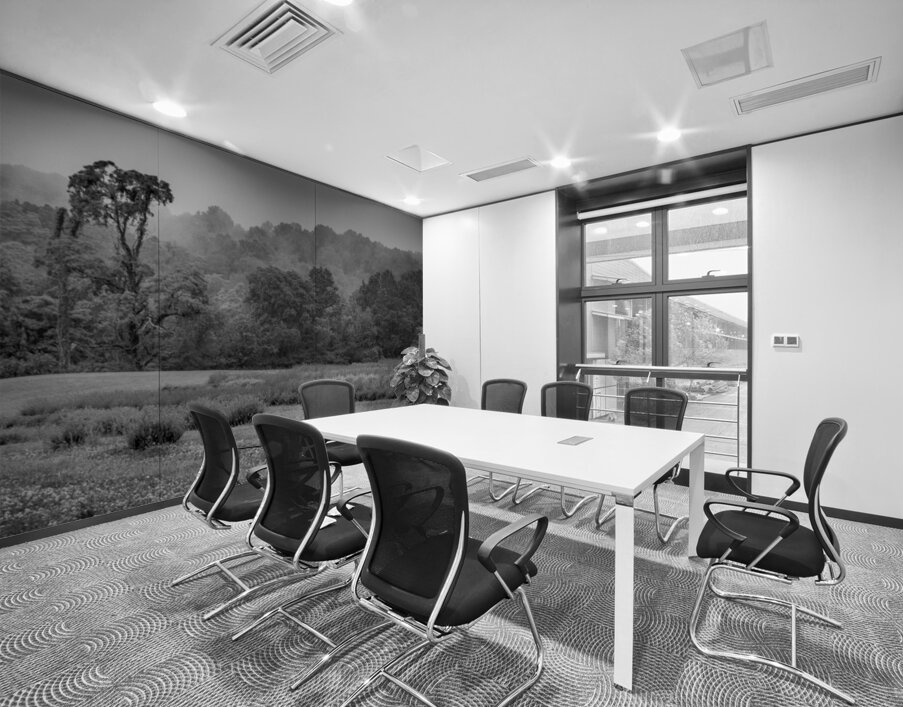 Morning Mist Valley Wall Printing