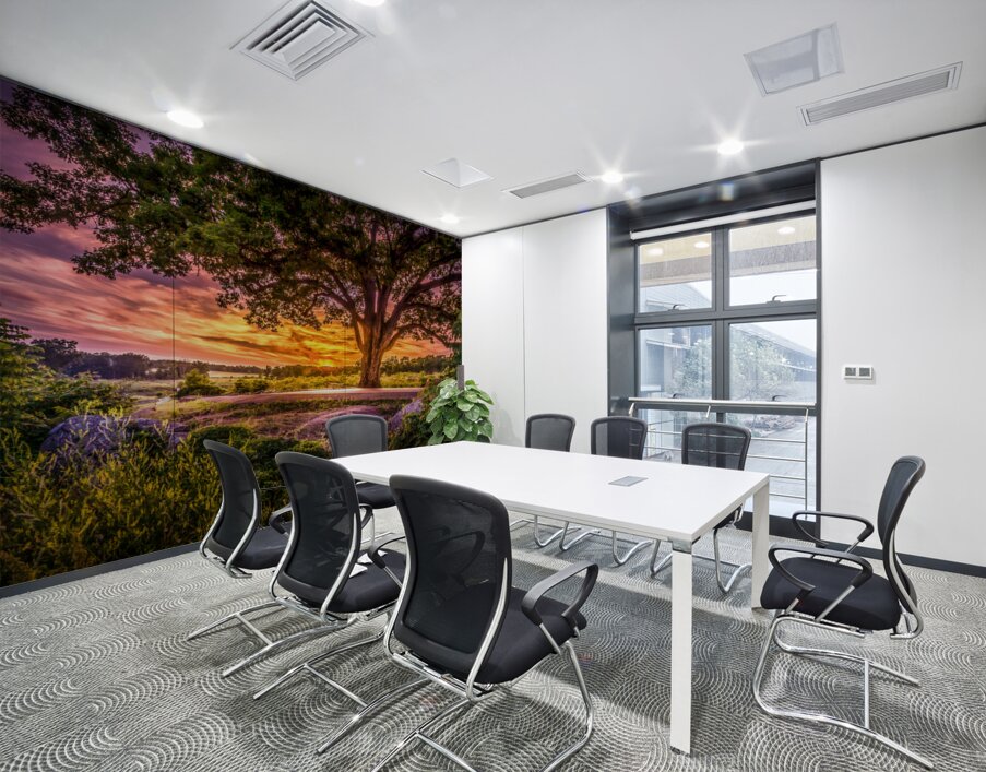 Fairytale Sunset Wall Printing