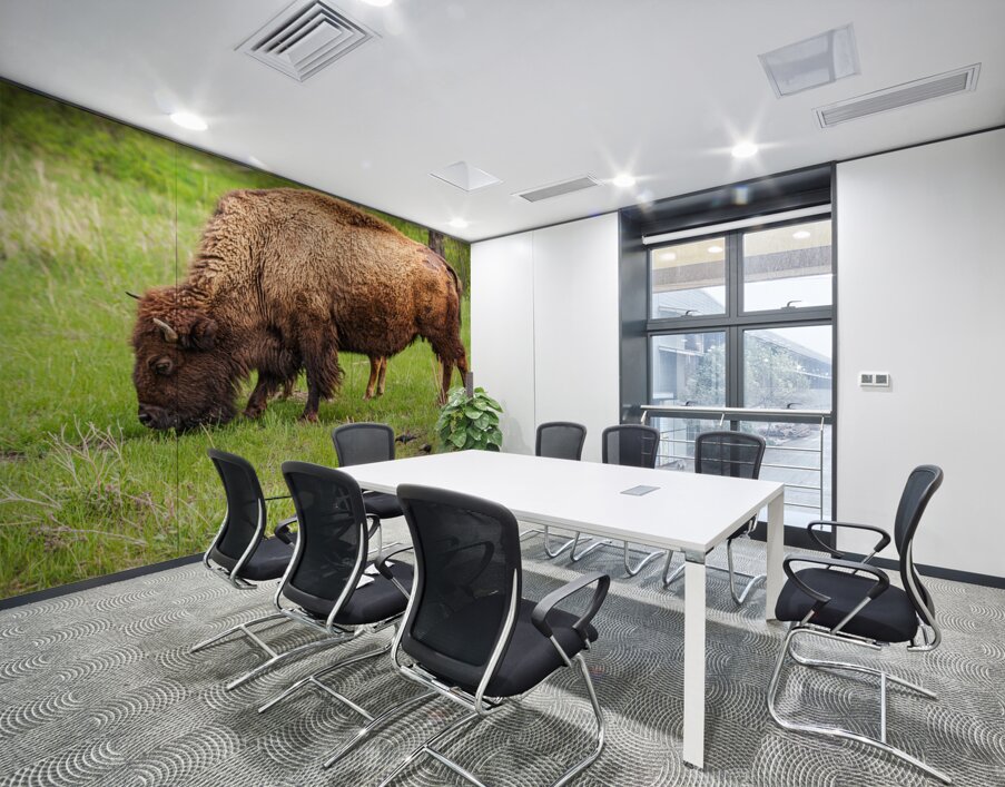 Bison Tales: Prairie Presence Wall Printing