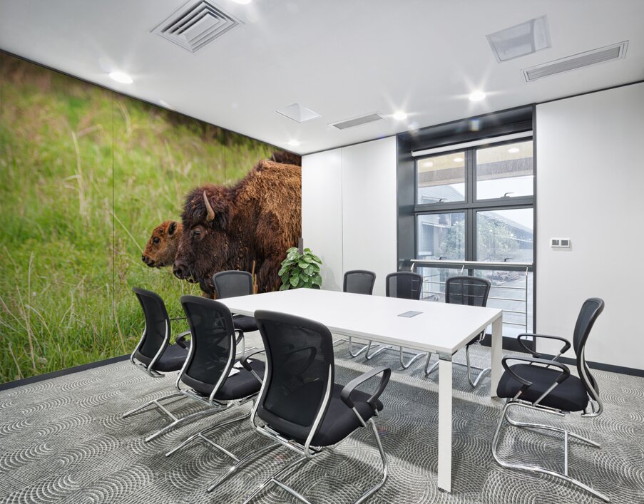 Bison Tales: Guardians of the Grasslands Wall Printing