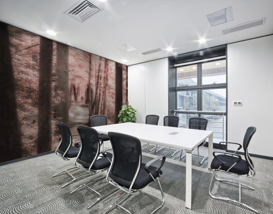 Mystical Forest Walk Wall Printing