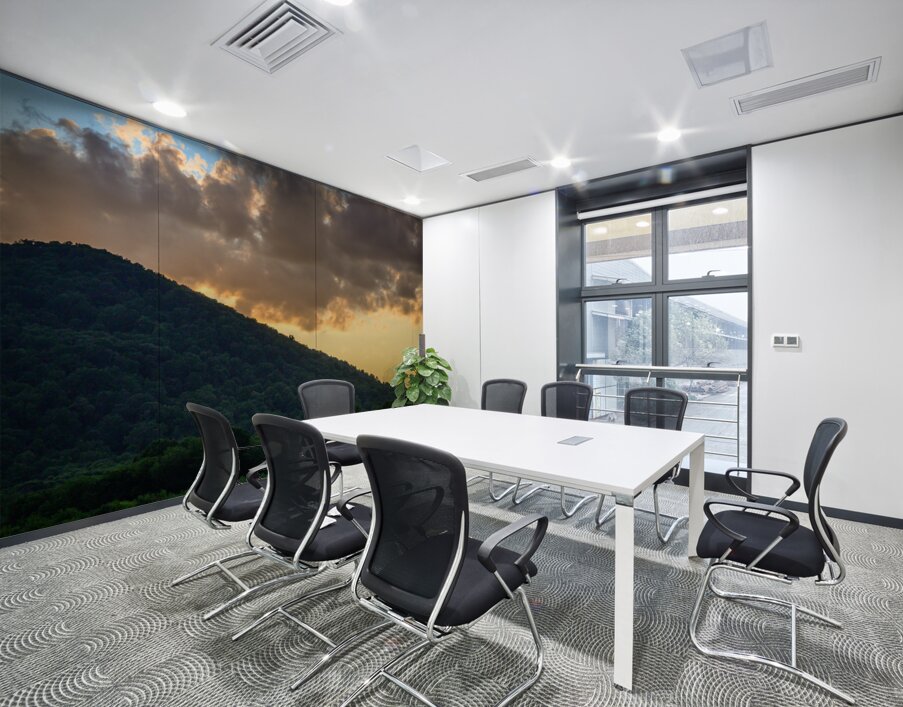 Virginias Golden Veil Wall Printing