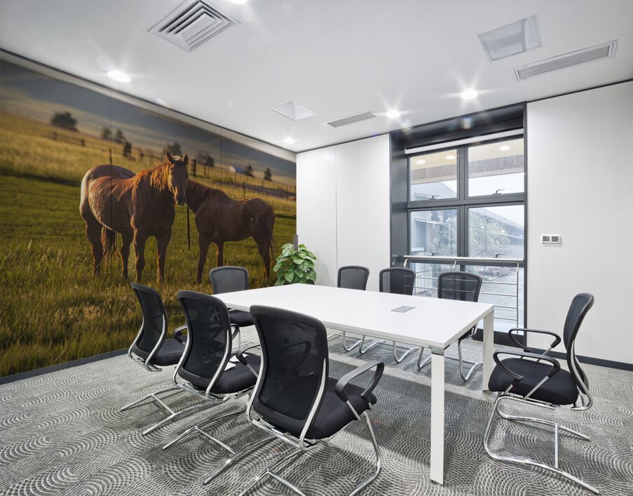 Equine Harmony in Billings Wall Printing