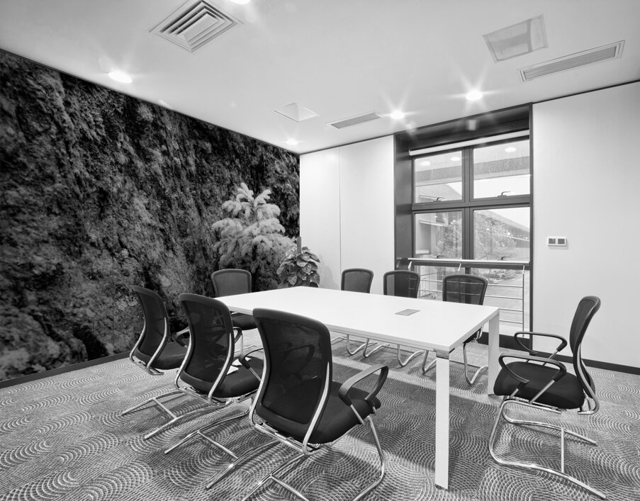 Small Pine on a Rock Wall Printing