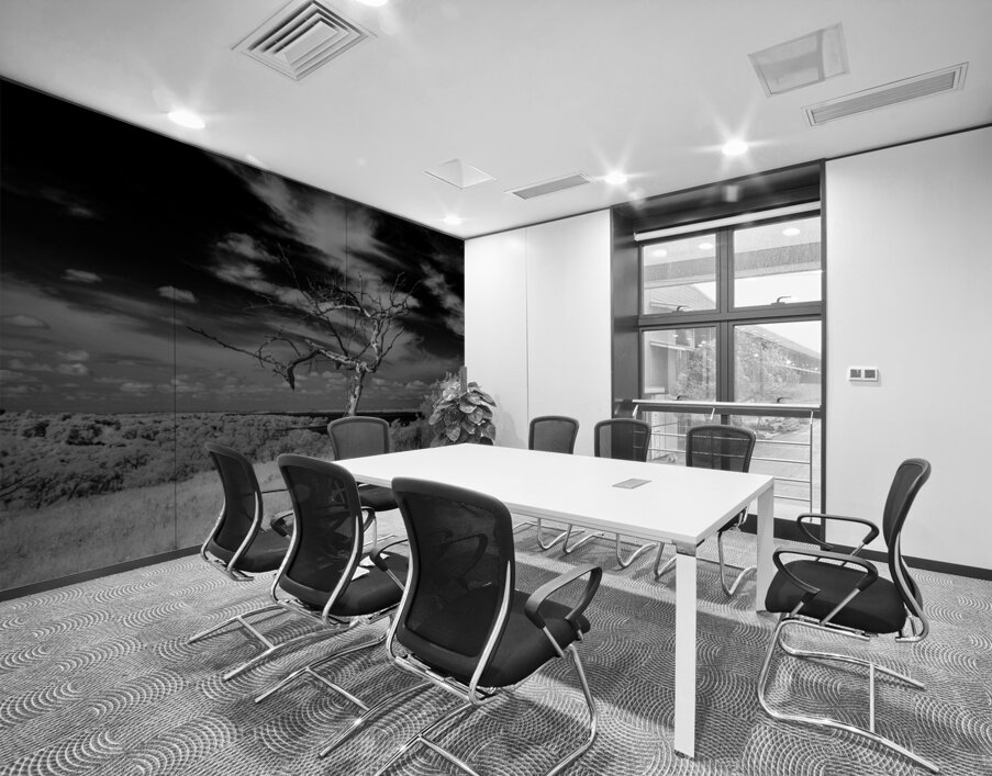 Symphony of Light and Shadow Wall Printing