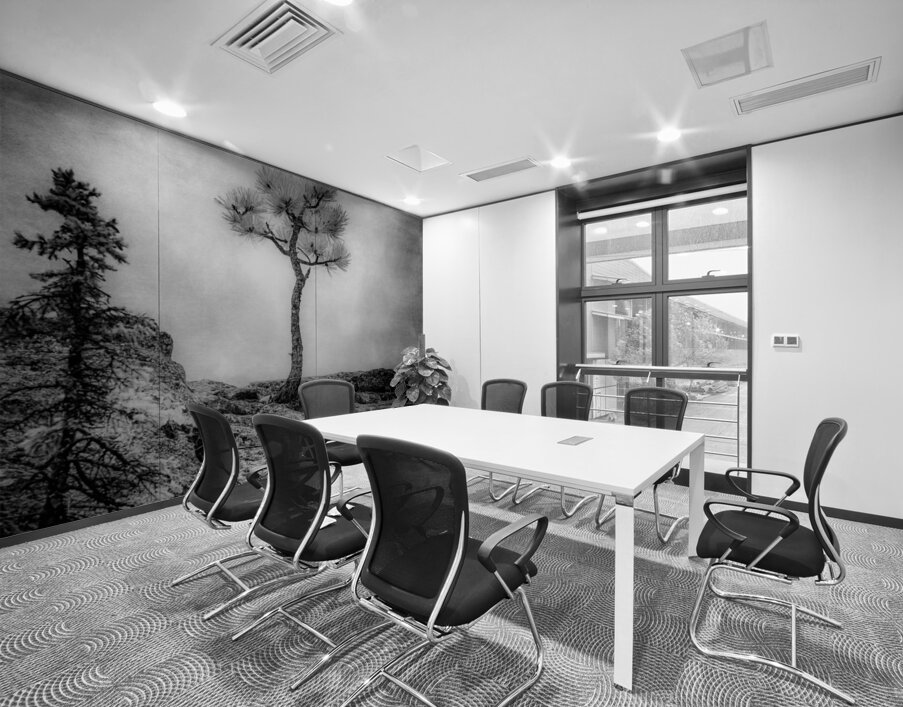 Serene Sylvan Lake: Alone on the Hill Wall Printing