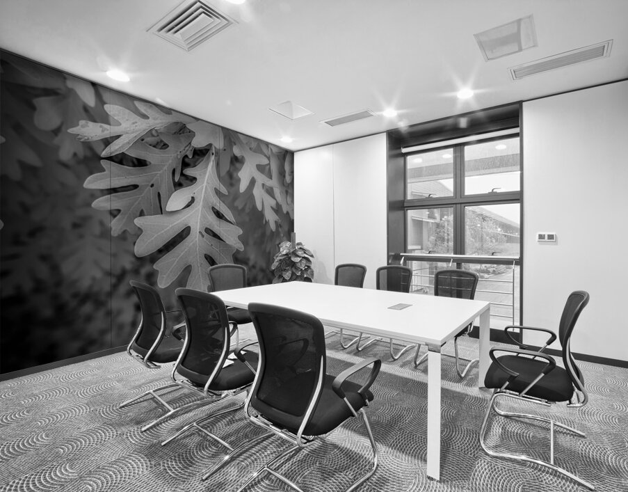 Enchanted Oak Wall Printing