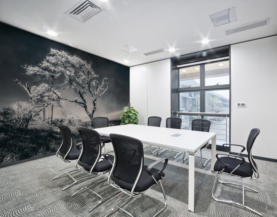 Black Bonsai:  A Botanical Marvel Unveiled on Driftwood Beach Wall Printing