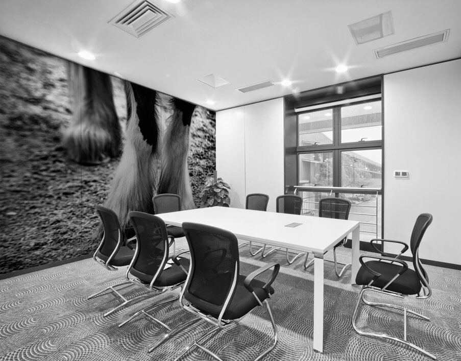 Hoofed Elegance: Exploring the Intricate Details of a Florida Horse Wall Printing