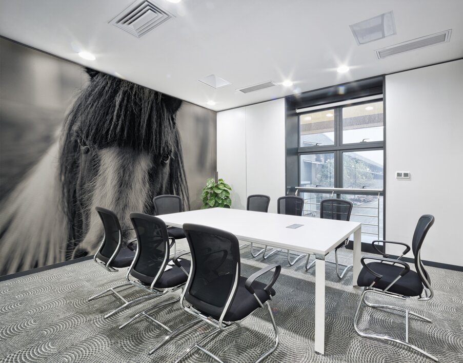 Curious Gaze: A Captivating Encounter with a Silent Horse  Wall Printing