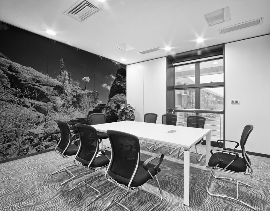 Stairway to Tranquility: Sylvan Lake Wall Printing