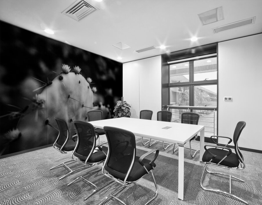 Ink and Thorn: Capturing the Essence of Texas Cacti Wall Printing