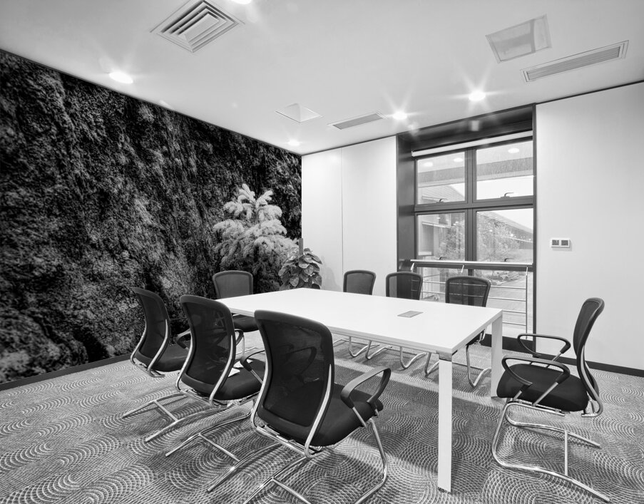 Exploring Sylvan Lake: Small Pine on a Rock Wall Printing