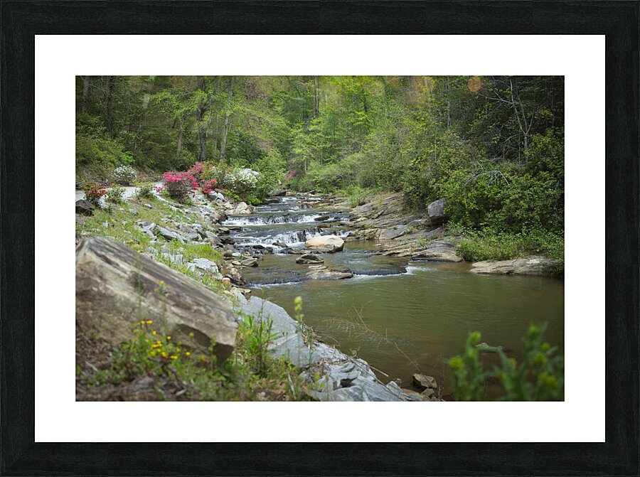 Flowing Tranquility  Framed Print Print