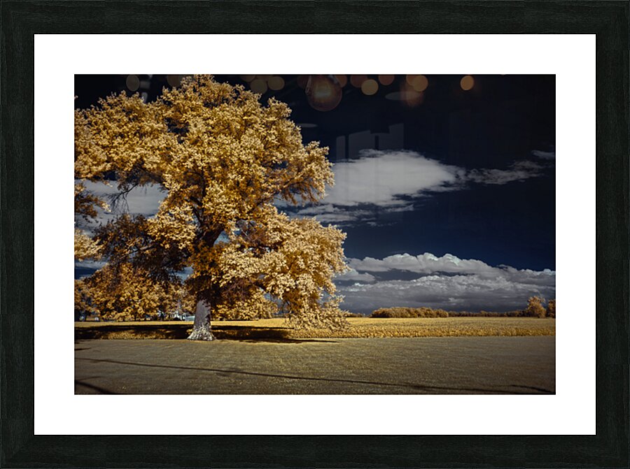 Vibrant Sentinel Picture Frame print