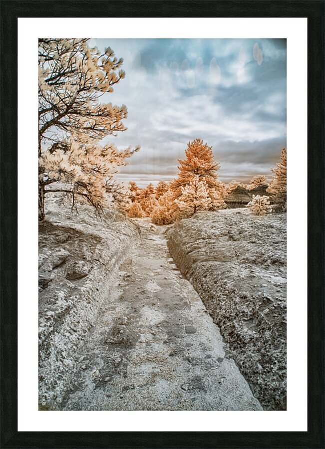 Westward Dreams: Pioneer Paths Picture Frame print