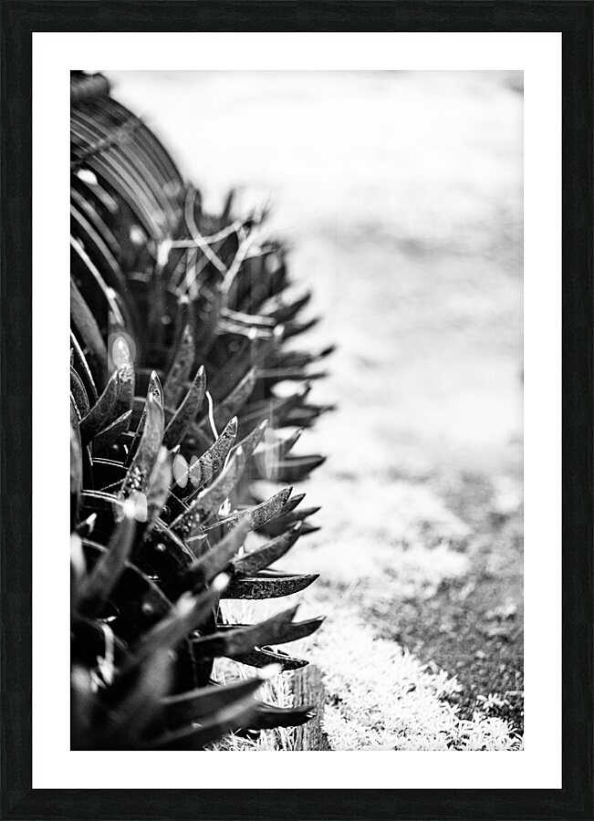 Rustic Relic - Nebraska Death Wheel Picture Frame print