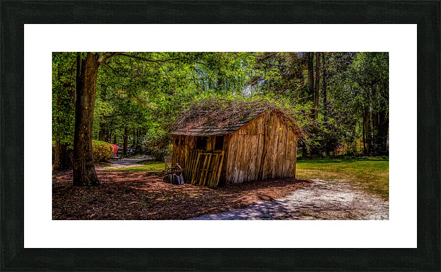 Garden Shack in Color Picture Frame print