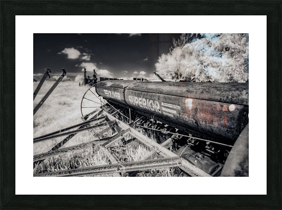 Rustic Relic   Oliver Superior Picture Frame print