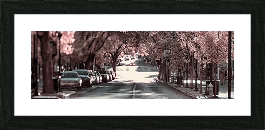 Springs Gentle Ascent Picture Frame print