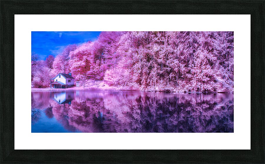 Mirror of Lavender Dreams Picture Frame print