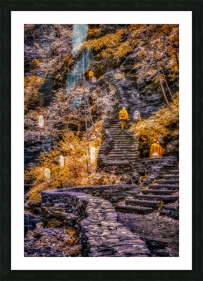 Golden Steps Ascent: A Color Infrared Symphony in Watkins Glen Picture Frame print