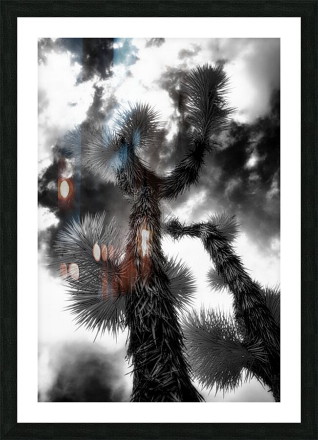 Reaching for the Storms Canopy Picture Frame print