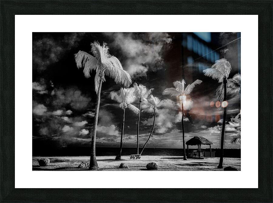 Tiki Picnic Impression et Cadre photo