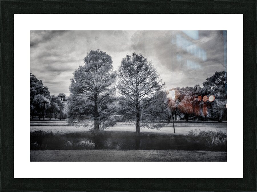 Mystical Twins: Unveiling the Beauty of Venetian Gardens in Lees Picture Frame print