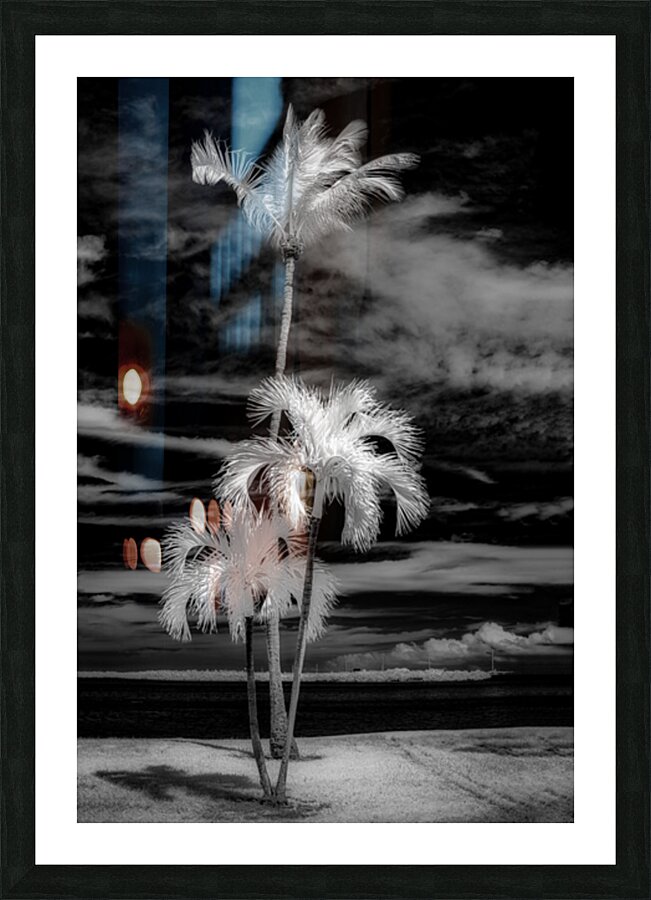 Texture of the Tropics Picture Frame print