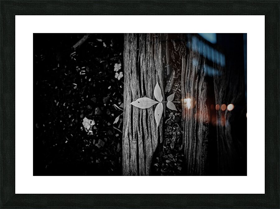 Step Above  Picture Frame print