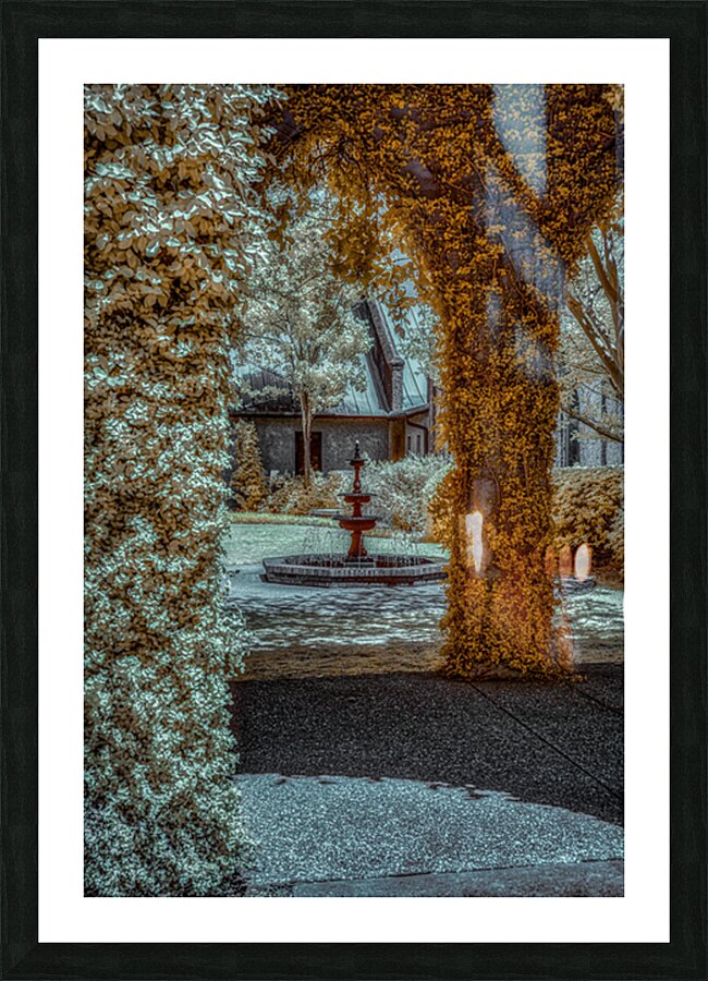 Spiritual Splendor: Golden Courtyard Picture Frame print