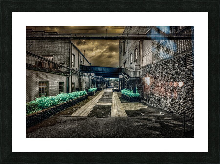 Echoes of History: Uncovering Lynchburgs Historic Bidding Drive  Picture Frame print