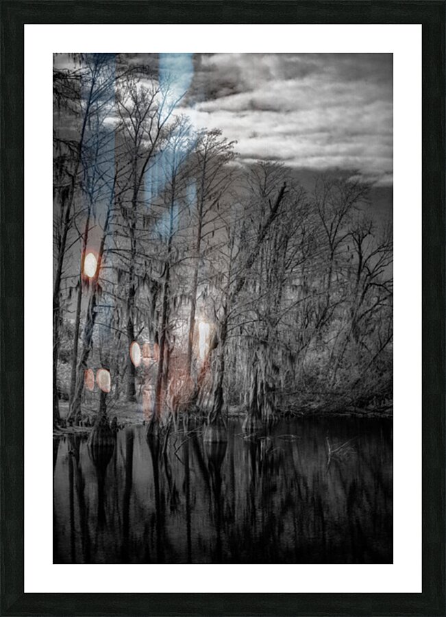 Whispers of the Bayou Picture Frame print