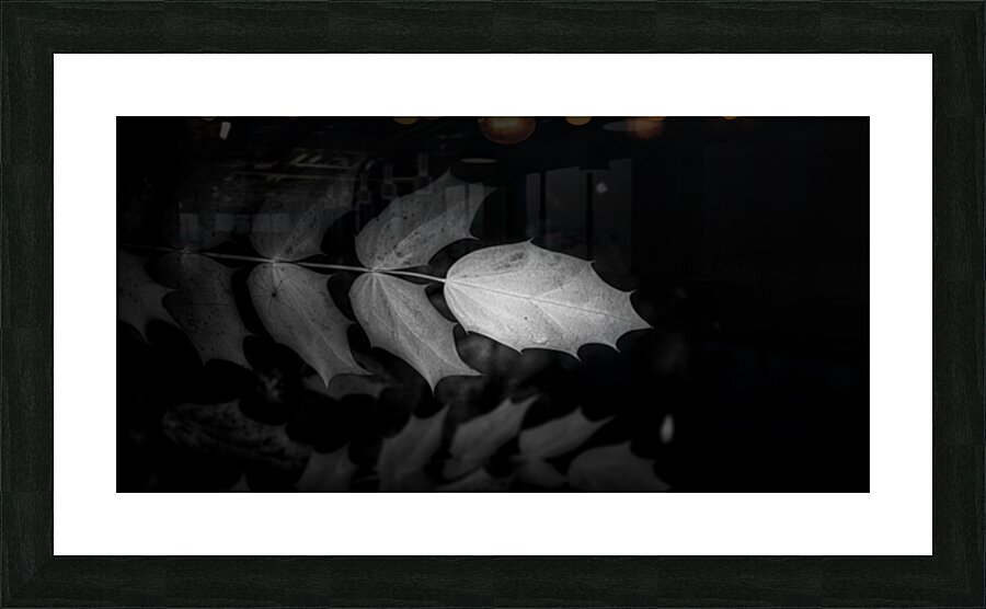 Spotlight on Natures Simplistic Beauty Picture Frame print