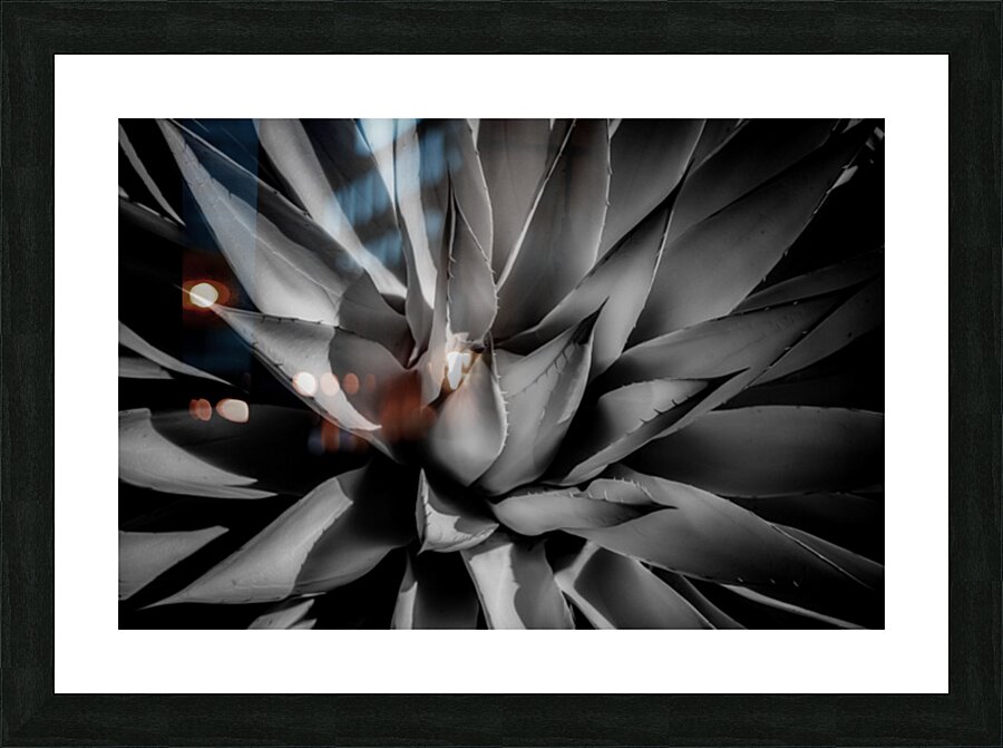 Silent Symphony of Leafy Angles Picture Frame print