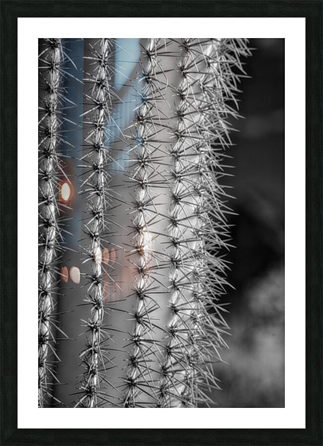 Prickly Pathway Picture Frame print