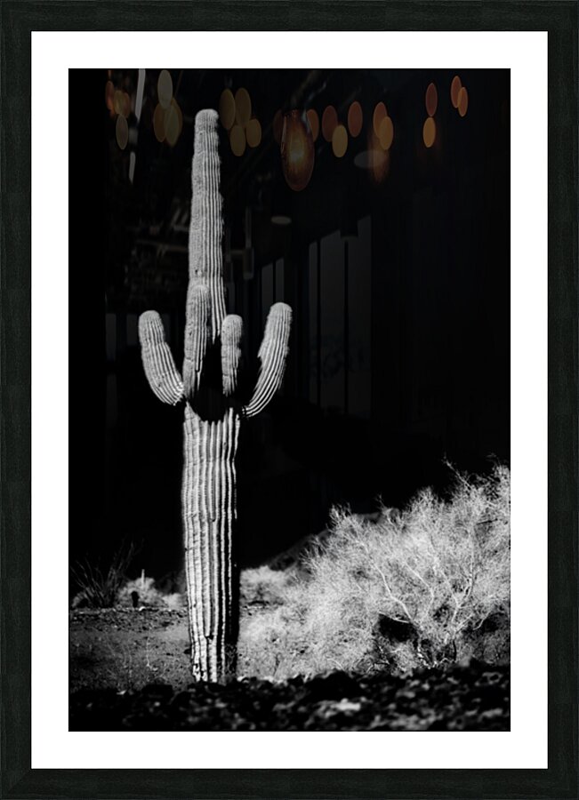 Vertical Echoes in a Desert Canvas Picture Frame print