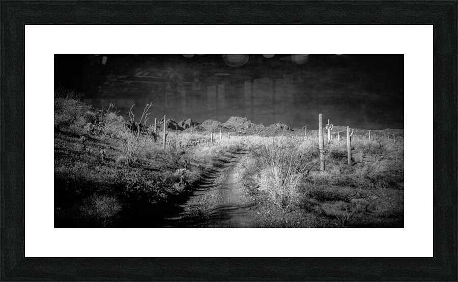 Echoes of Silence Across the Horizon Picture Frame print