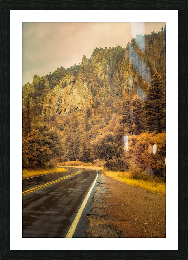 Reflections of a Rain Kissed Road Picture Frame print