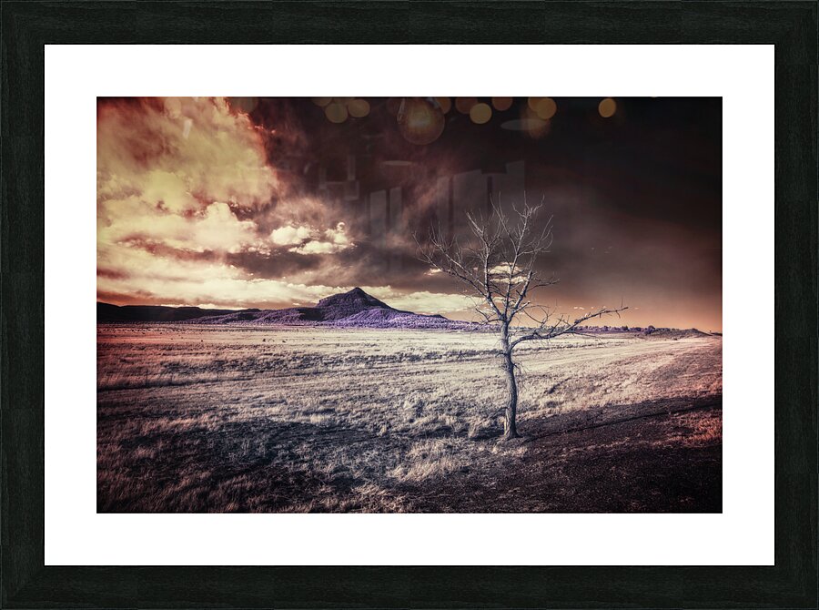 Otherworld in New Mexico Picture Frame print
