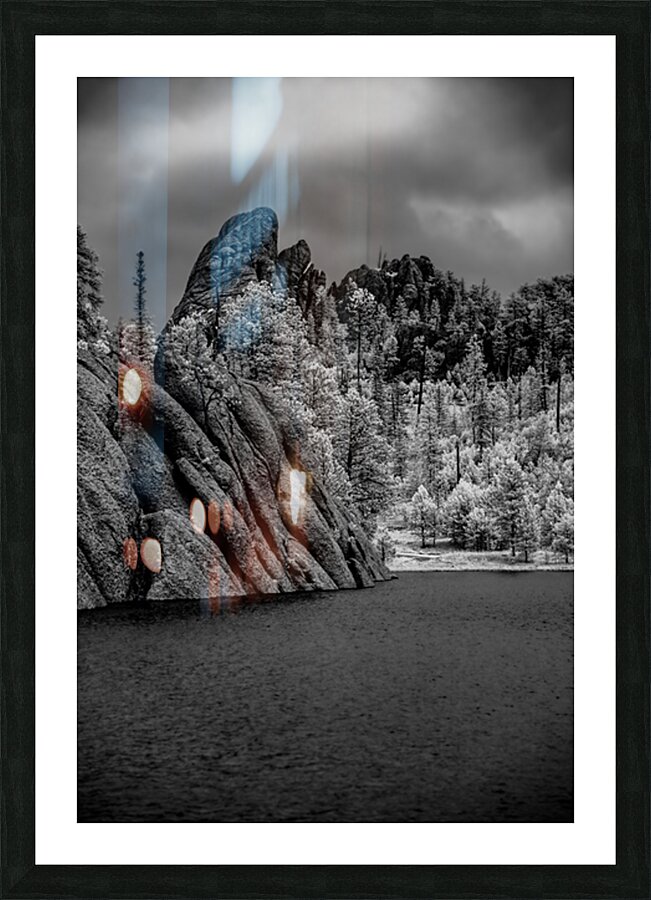 Sylvan Serenity: A Monochrome Tale of Natures Harmony in Custer  Picture Frame print