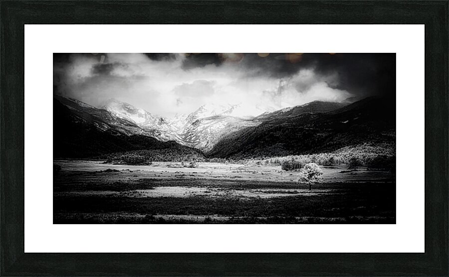 Mountains Embrace: Lone Valley Tree Picture Frame print