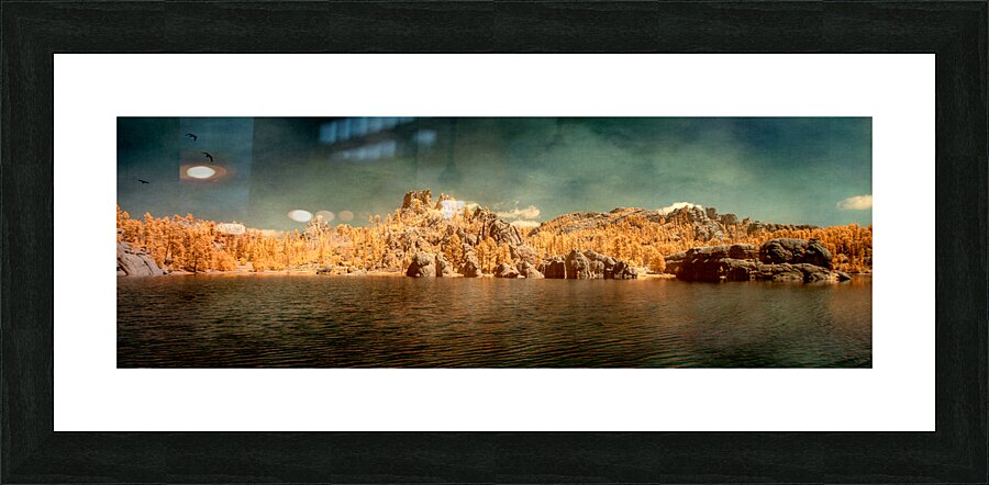 Sylvan Serenity: A Panoramic Odyssey at Custer State Park South Picture Frame print