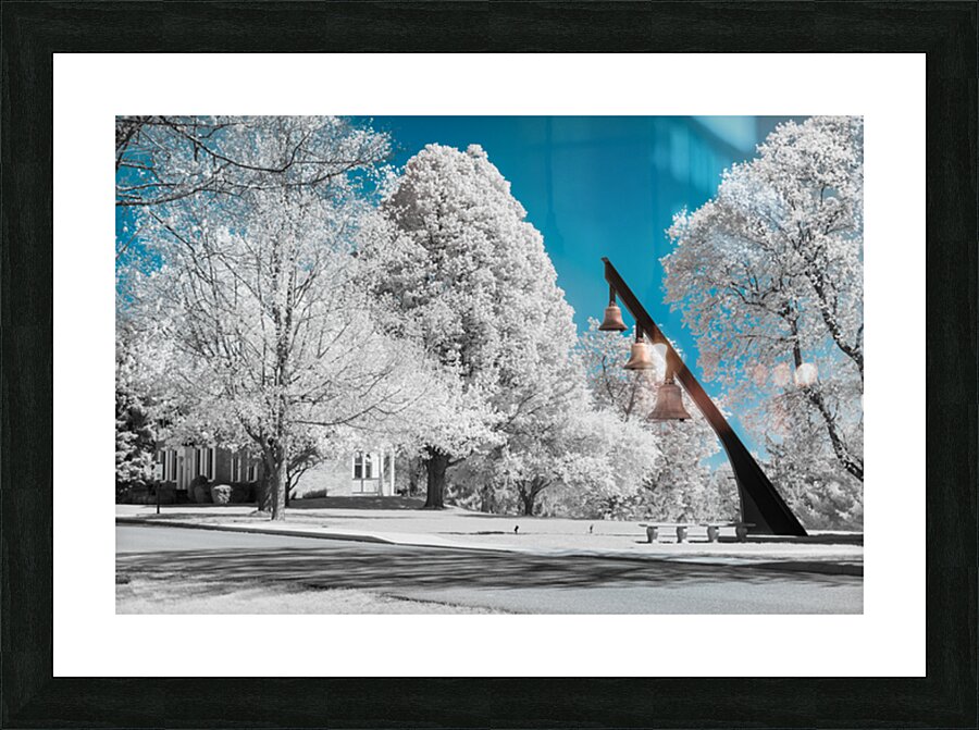 Infrared Exploration: Unveiling the Beauty of Seminary Bells in  Picture Frame print
