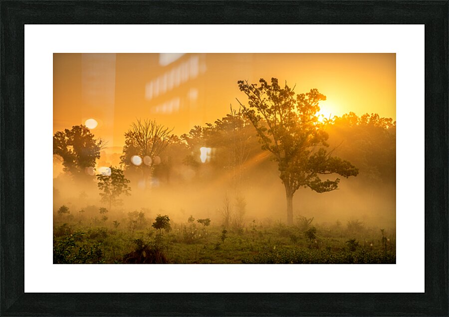 Misty Morning Glow: Dawn in Gettysburg Picture Frame print