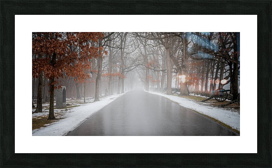 Winters Passage: Confederate Avenue Picture Frame print