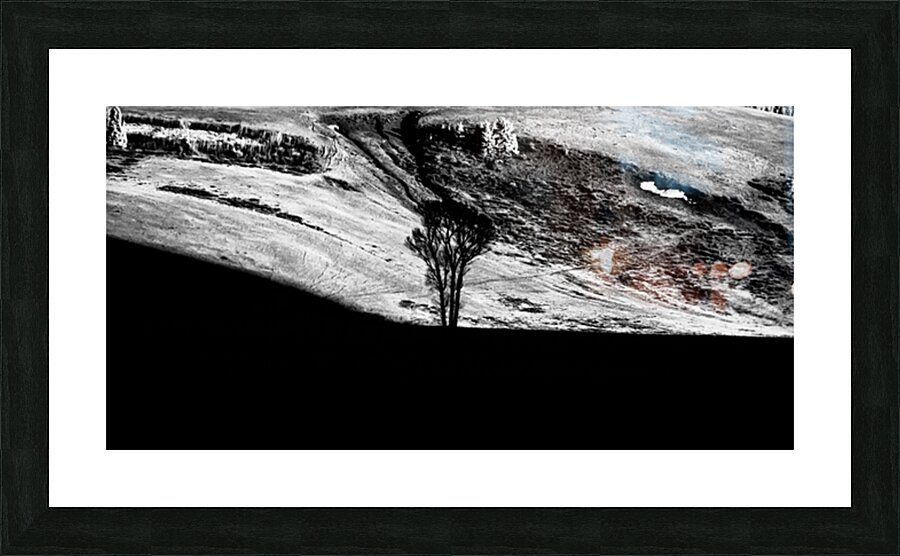 Solitary Sentinel Picture Frame print